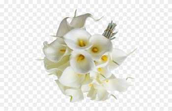 Eforcase Refreshing Calla Lily Bridal Wedding Bouquet - Sodial Calla Lily Bridal Wedding Bouquet 20 Head Latex