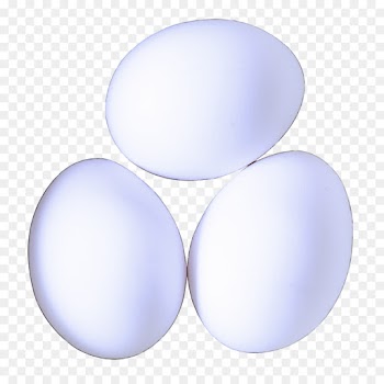 Egg