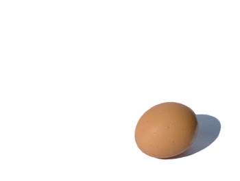 egg_01.jpg
