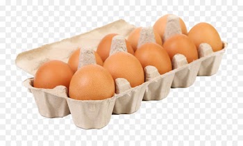 Egg carton Paper Photography Box - Yellow egg care 