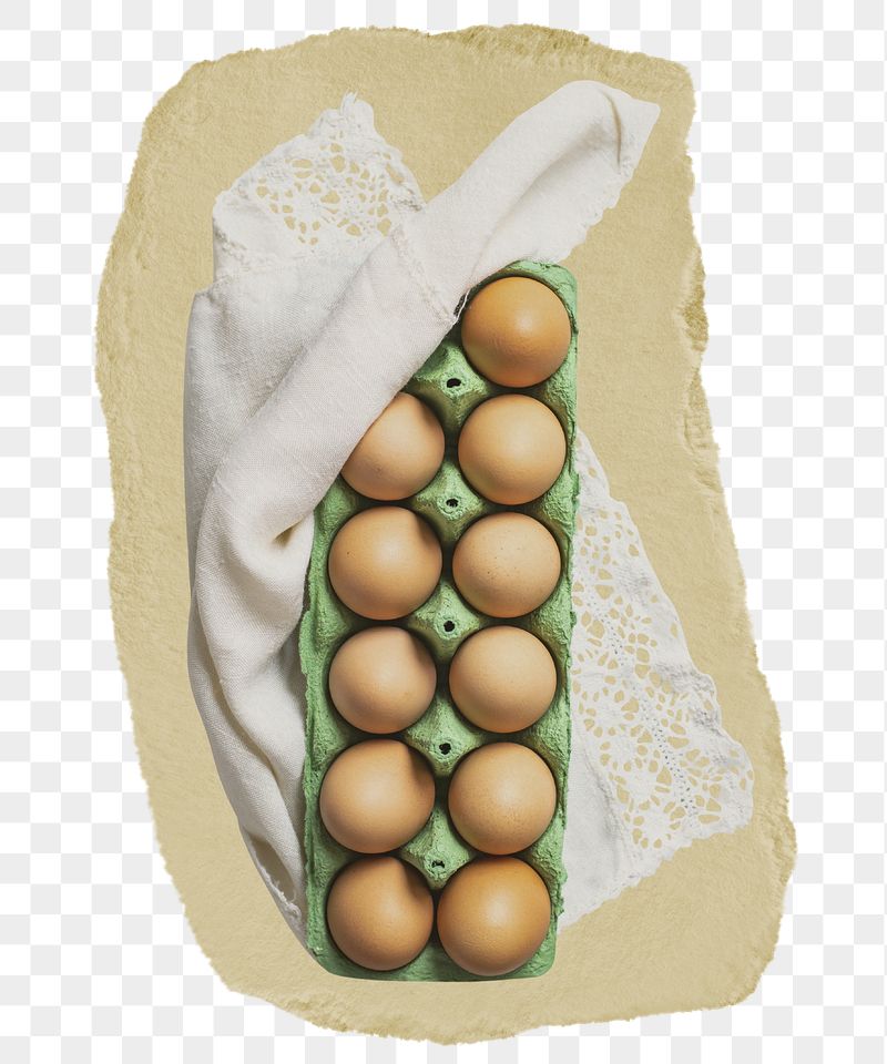 Egg carton png sticker, ripped | Free PNG - rawpixel