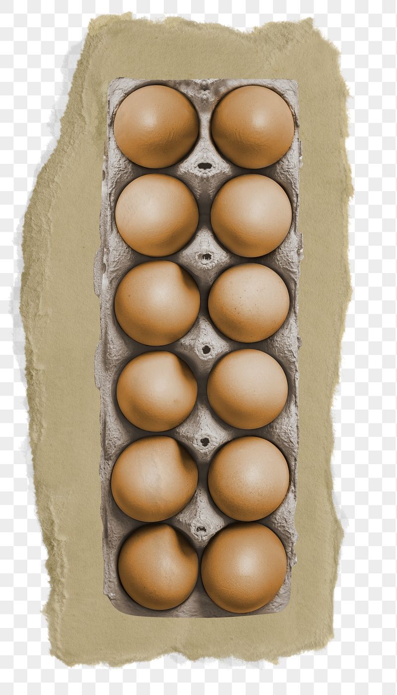 Egg carton png sticker, ripped | Free PNG - rawpixel