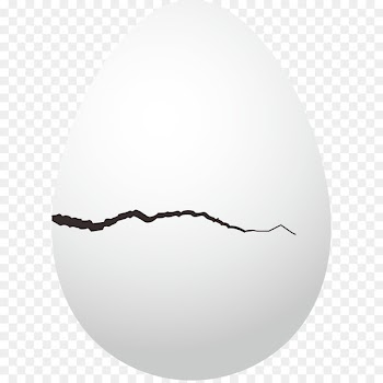 Egg - Crack eggs vector 