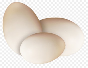 Egg Lighting - Beautiful brown egg 