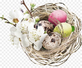 Egg Nest Easter Clip art - Brown nest eggs 