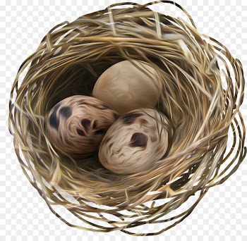 Egg Nest Easter - Nest 