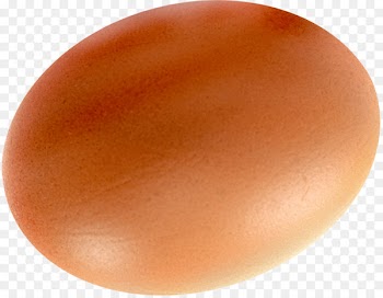 Egg - Ordinary eggs 