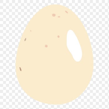 Egg png sticker, food illustration | Free PNG - rawpixel