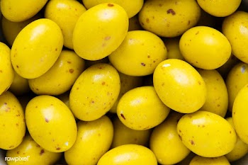 Egg stone bean balls chocolate textured backg.. | Free stock photo - 392425