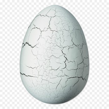 Egg Velociraptor Stegosaurus Triceratops Brachiosaurus - Egg 