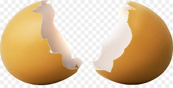 Egg Wallpaper - Broken egg shell 