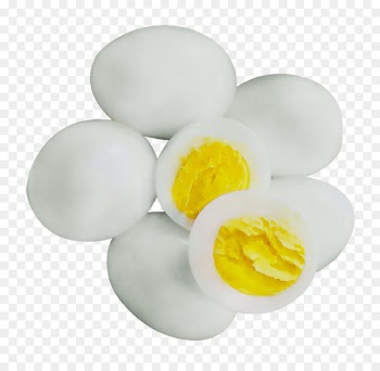 Egg white Boiled egg Product design -  
