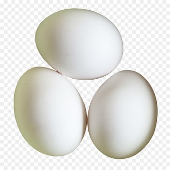 Egg white - Eggs 