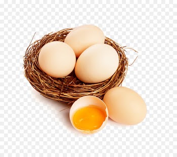 Egg white - Nest eggs 