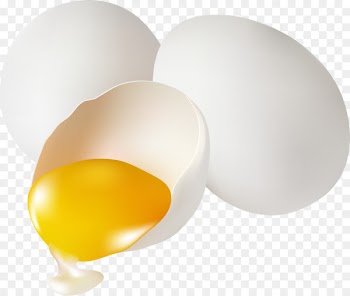 Egg white Yellow Yolk - Vector white egg yolk 