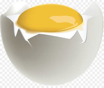 Egg Yolk Drawing Illustration - Egg yolk 
