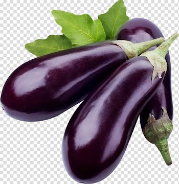 Eggplant Baingan bharta Tomato , vegetables transparent background PNG clipart