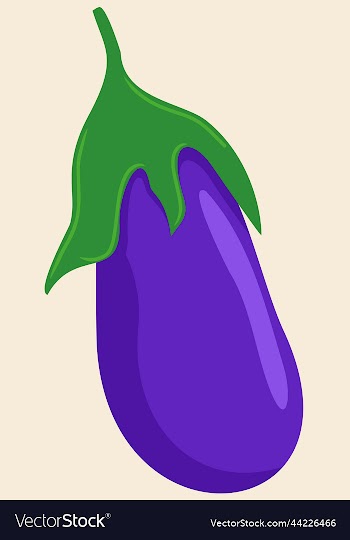 eggplant bright vegetable violet
