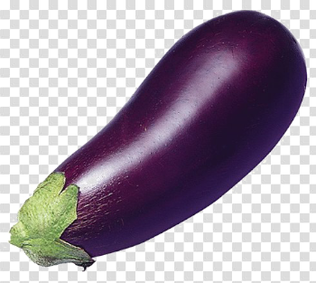 Eggplant PNG High-Quality Image