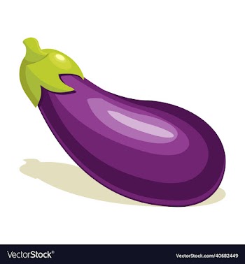 eggplant vegetable