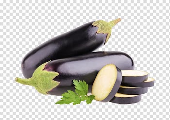 Eggplant Vegetable Auglis, Fresh eggplant material buckle Free transparent background PNG clipart