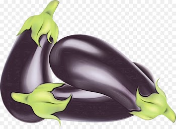 eggplant vegetable bell pepper plant purple
