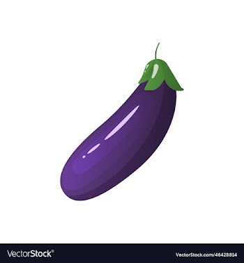 eggplant vegetable icon
