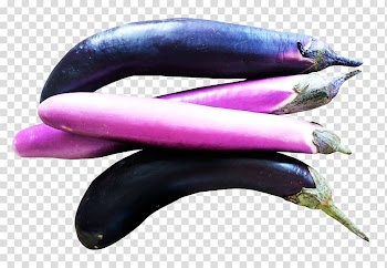 Eggplant Vegetable Tomato, Eggplants transparent background PNG clipart