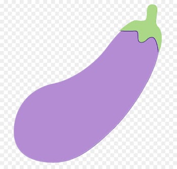 eggplant violet purple vegetable plant