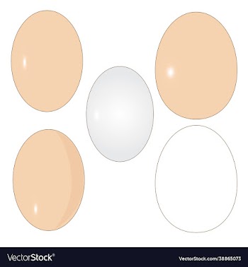 eggs