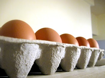 Eggs_4876.JPG