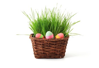 Eggs in Basket