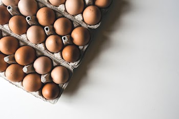 Eggs on a tray | Free public domain photo - 447630