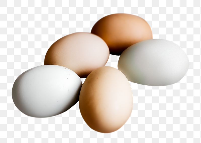 Eggs png food sticker, transparent | Free PNG - rawpixel