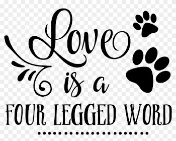 Eggs Svg Farm Fresh - Love Is A Four Legged Word Vector