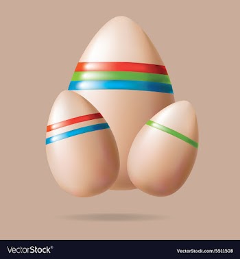 Eggs vector image