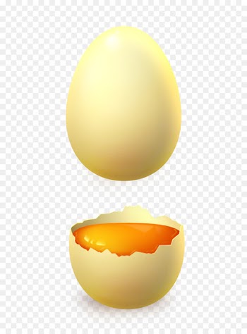 Eggshell Egg white Computer file - Eggs PSD material 