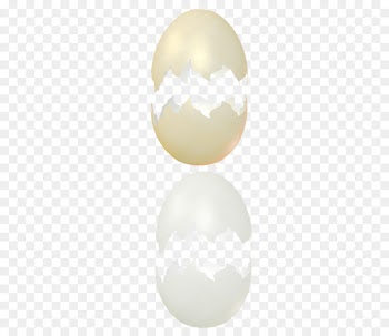 Eggshell Huevos estrellados - Broken egg shell png material 