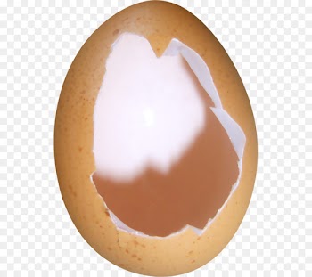 Eggshell Portable Network Graphics Chicken Image - pour toujours 