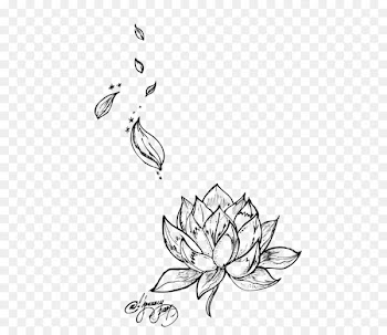 Egyptian lotus Nelumbo nucifera Tattoo Flower Drawing - lotus 