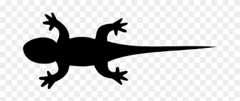 Eidechse, Leguan, Gecko, Tier, Natur - Silhouette Lizard