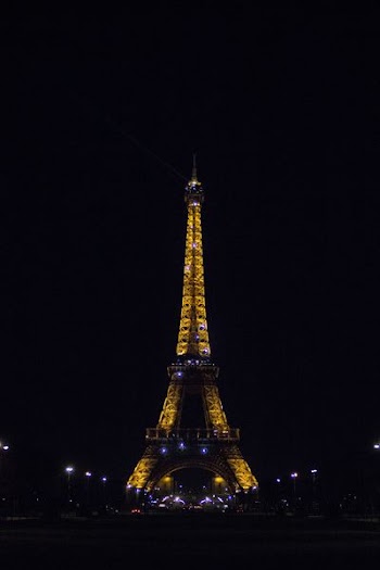 Eiffel Tower during nighttime