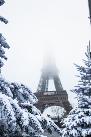 Eiffel Tower, Paris