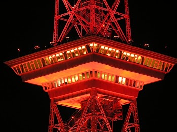 Eiffle Tower during Night Time
