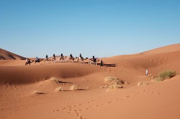 eight person riding on camel in the desert