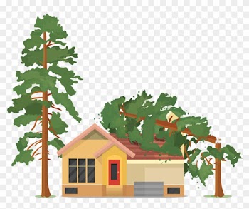 Eines Sollten Sie In Jedem Fall Immer Beachten - Fallen Tree On House Clipart