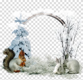 Eisbxe4renanlage Yorkshire Wildlife Park December Christmas, White rabbit transparent background PNG clipart