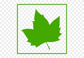 Eko Yaprak Vektör Simgesi - Green Maple Leaf Icon