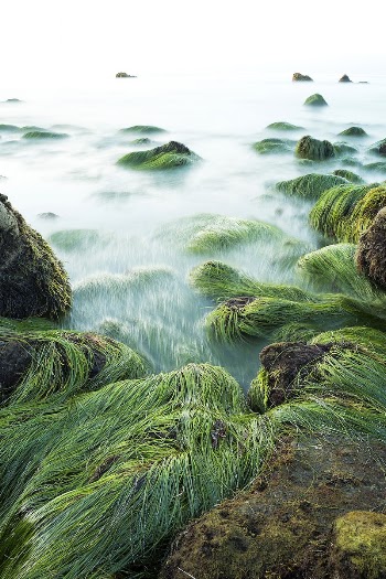 El Pescador Beach. Original public | Free Photo - rawpixel