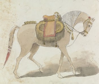 Elaborately Saddled Horse | Free Photo - rawpixel